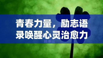 青春力量,励志语录唤醒心灵治愈力量