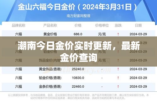 潮南今日金价实时更新,最新金价查询