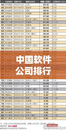 中国软件公司排行榜及行业影响力深度解析