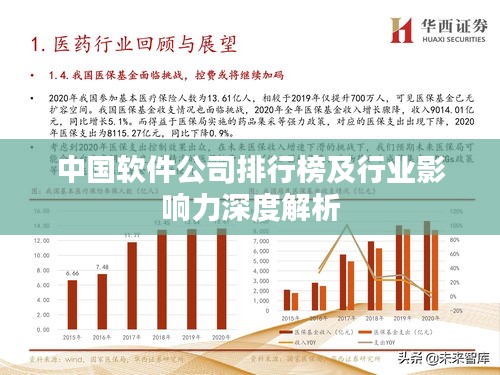 中国软件公司排行榜及行业影响力深度解析