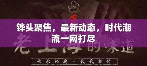 铧头聚焦,最新动态,时代潮流一网打尽