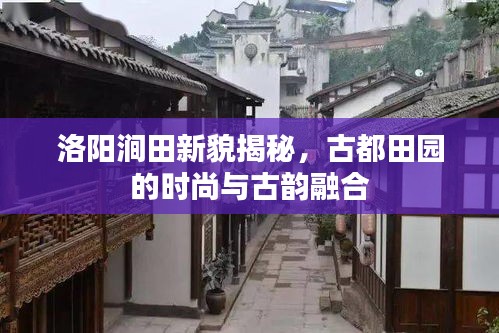 洛阳涧田新貌揭秘,古都田园的时尚与古韵融合