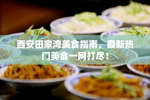 西安田家湾美食指南,最新热门美食一网打尽!