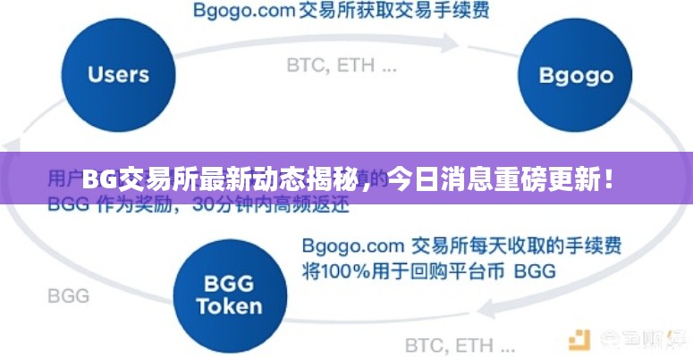 BG交易所最新动态揭秘,今日消息重磅更新!