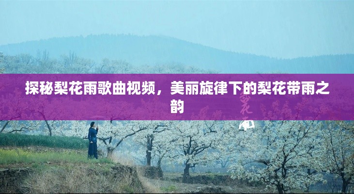 探秘梨花雨歌曲视频,美丽旋律下的梨花带雨之韵