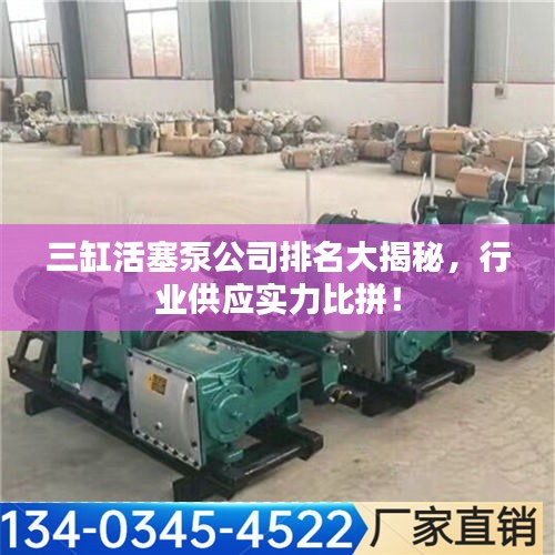 三缸活塞泵公司排名大揭秘,行业供应实力比拼!