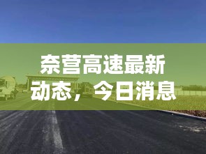 千里迢迢 第3页
