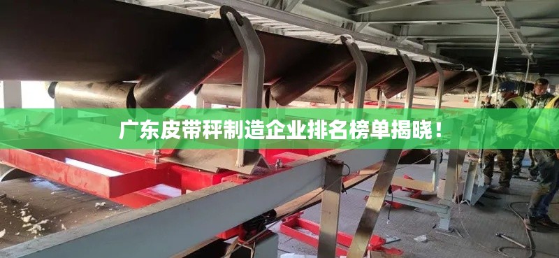 广东皮带秤制造企业排名榜单揭晓!
