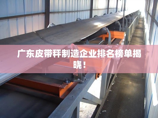广东皮带秤制造企业排名榜单揭晓!