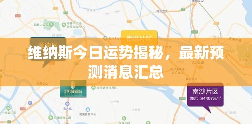 维纳斯今日运势揭秘,最新预测消息汇总