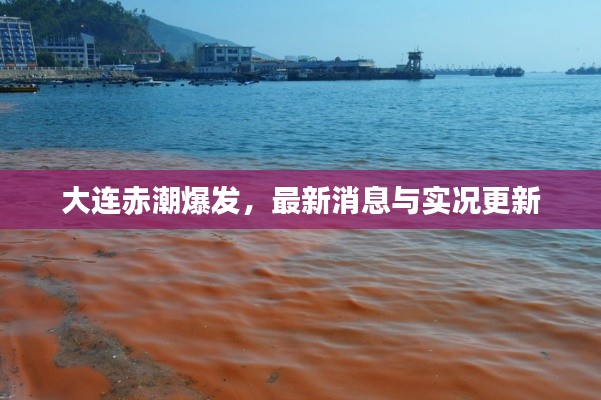 举步如飞 第2页