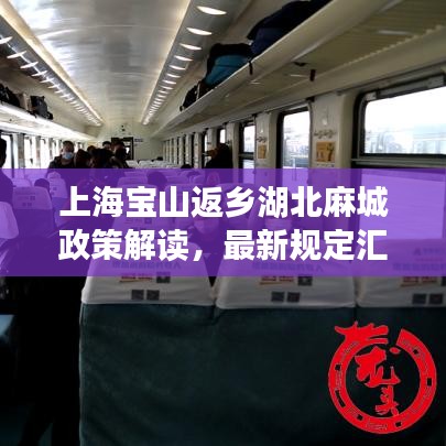 上海宝山返乡湖北麻城政策解读,最新规定汇总
