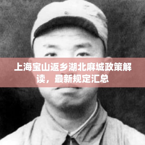 上海宝山返乡湖北麻城政策解读,最新规定汇总
