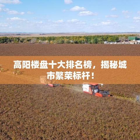 高阳楼盘十大排名榜,揭秘城市繁荣标杆!