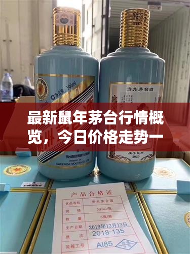 最新鼠年茅台行情概览,今日价格走势一网打尽!