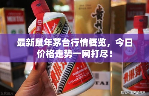 最新鼠年茅台行情概览,今日价格走势一网打尽!