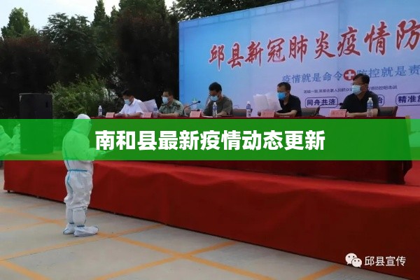 南和县最新疫情动态更新
