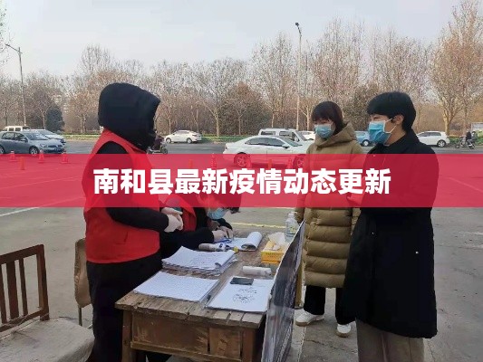 南和县最新疫情动态更新