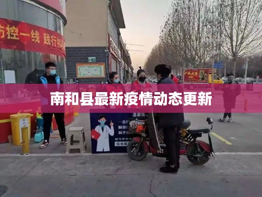南和县最新疫情动态更新