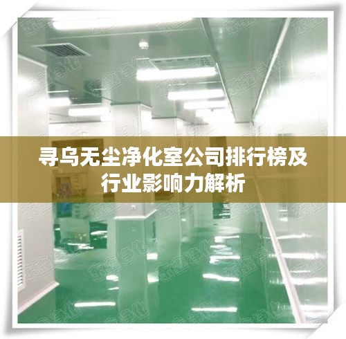寻乌无尘净化室公司排行榜及行业影响力解析