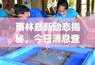 雨林最新动态揭秘,今日消息查询图,探索自然奥秘的惊人发现