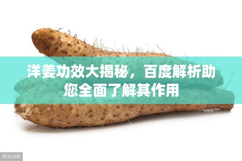 洋姜功效大揭秘,百度解析助您全面了解其作用