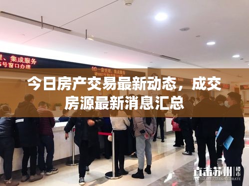 一石三鸟 第3页