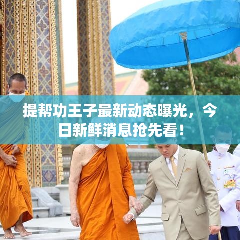 提帮功王子最新动态曝光,今日新鲜消息抢先看!