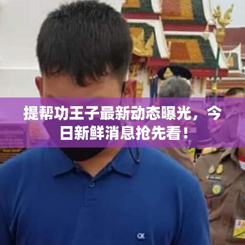 提帮功王子最新动态曝光,今日新鲜消息抢先看!