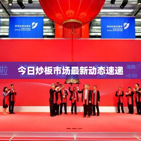 今日炒板市场最新动态速递