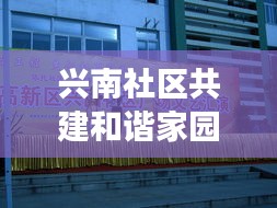 兴南社区共建和谐家园,携手共创美好未来,新闻头条聚焦社区发展