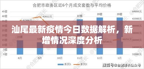 汕尾最新疫情今日数据解析,新增情况深度分析