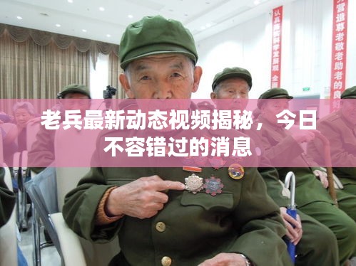 老兵最新动态视频揭秘,今日不容错过的消息