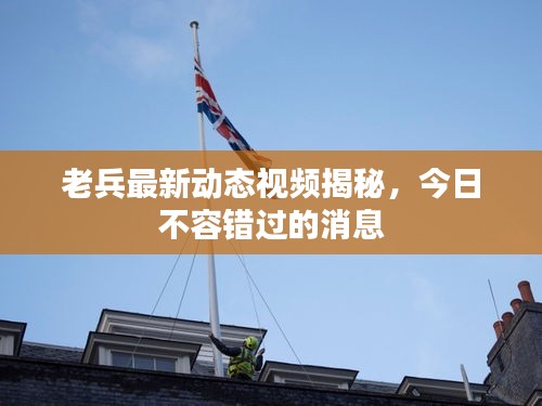 老兵最新动态视频揭秘,今日不容错过的消息