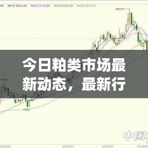 矢志不渝 第2页