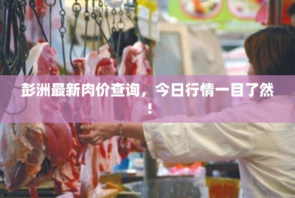 彭洲最新肉价查询,今日行情一目了然!