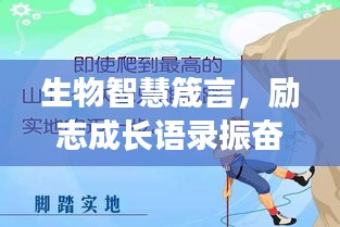 生物智慧箴言，励志成长语录振奋人心！