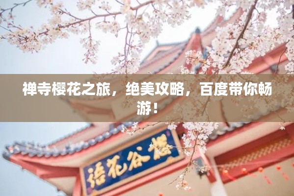 禅寺樱花之旅,绝美攻略,百度带你畅游!