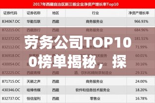 劳务公司TOP100榜单揭秘,探寻行业领军者的成功奥秘