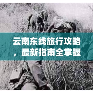 云南东线旅行攻略,最新指南全掌握