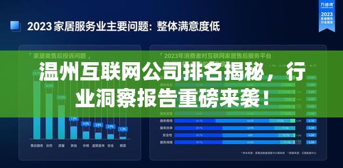 温州互联网公司排名揭秘,行业洞察报告重磅来袭!