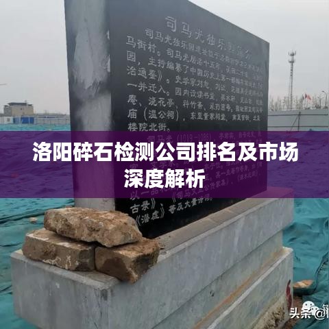 洛阳碎石检测公司排名及市场深度解析