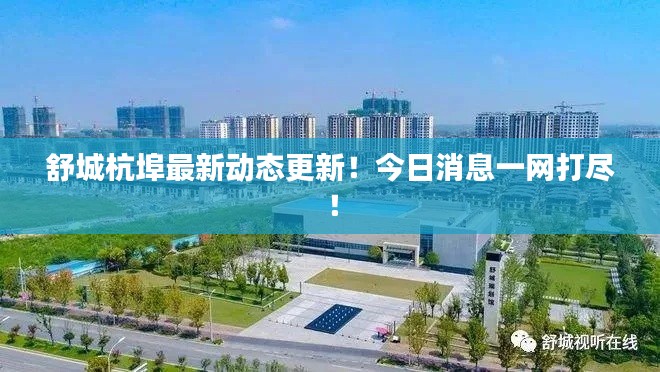 舒城杭埠最新动态更新!今日消息一网打尽!