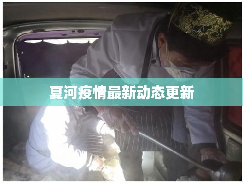 夏河疫情最新动态更新