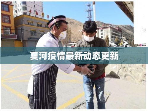 夏河疫情最新动态更新