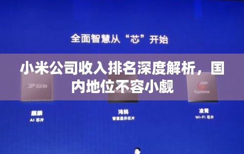 小米公司收入排名深度解析,国内地位不容小觑