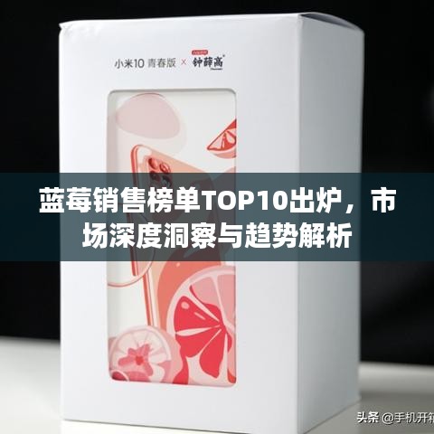 蓝莓销售榜单TOP10出炉,市场深度洞察与趋势解析