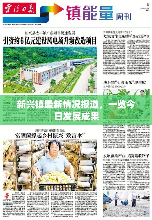 新兴镇最新情况报道,一览今日发展成果