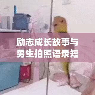励志成长故事与男生拍照语录短句分享