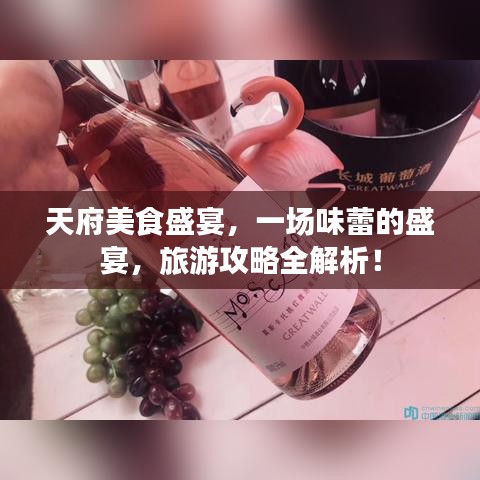 天府美食盛宴,一场味蕾的盛宴,旅游攻略全解析!